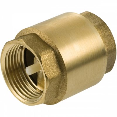 Brass Spring Non Return Valve 3" Female Thread