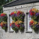 Basket and Container Watering