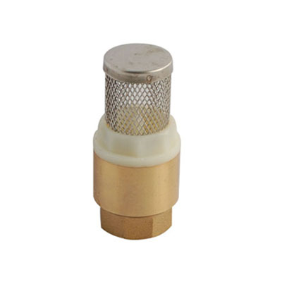 Spring Brass Foot Valve And Strainer 1 Inch BSPF